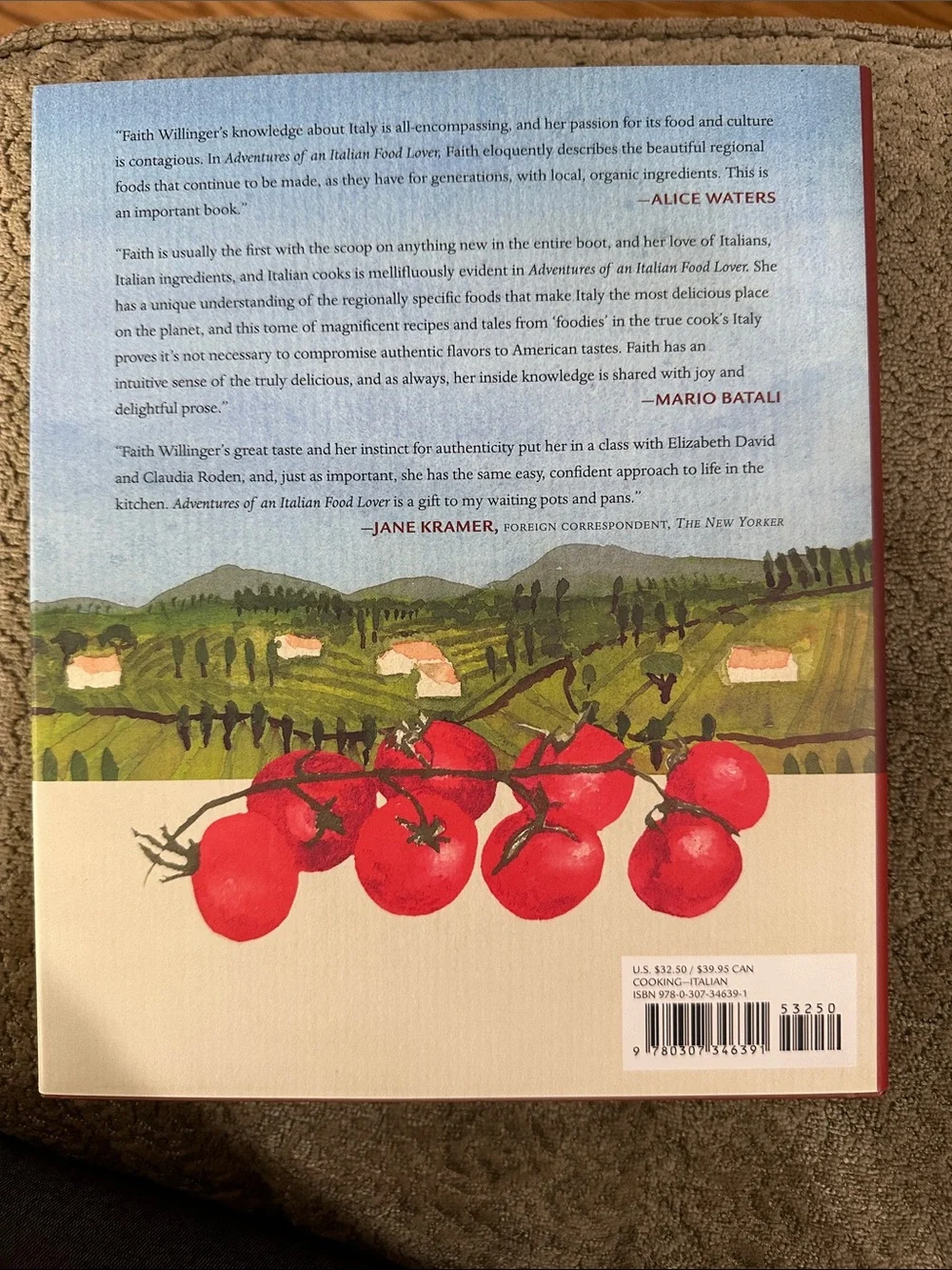 Adventurers of an Italian Food Lover cookbook .